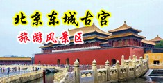 挺入白丝中国北京-东城古宫旅游风景区